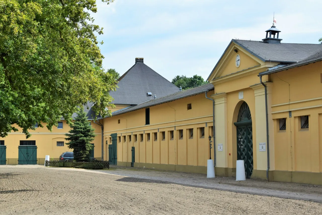Stado Ogier&oacute;w Sierak&oacute;w pałac zabytkowe budynki