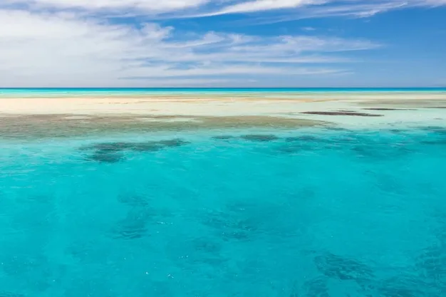 turkusowa woda rafa koralowa