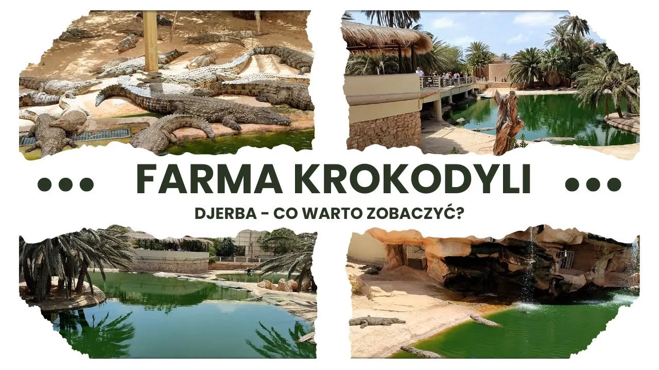 Djerba Explore Park farma krokodyli