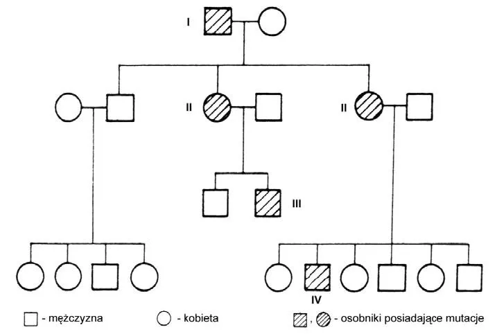 schemat dziedziczenia daltonizmu