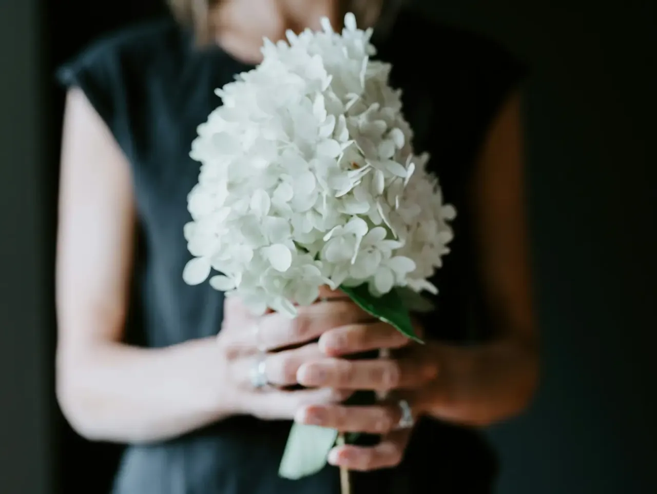 savoir-vivre kwiaty na pogrzeb zasady