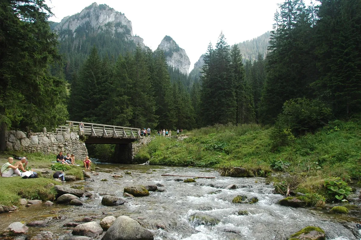 Dolina Kościeliska widok na skały i potok