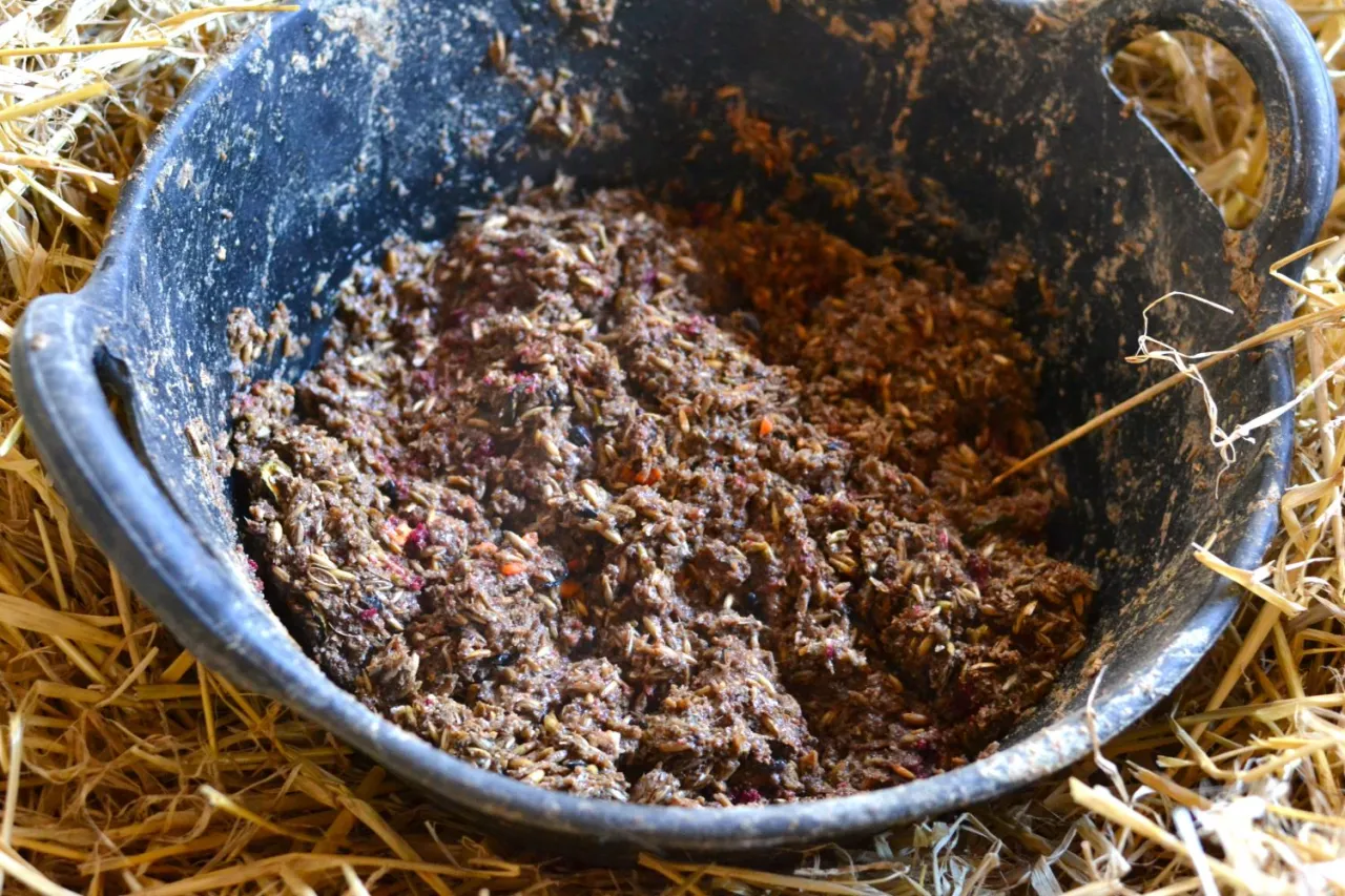 zdrowe dodatki do meszu dla konia