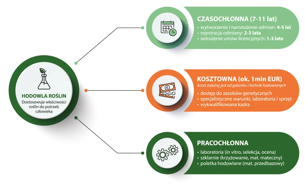 Zdjęcie Co to jest hodowla i jak wpływa na przyszłość rolnictwa?