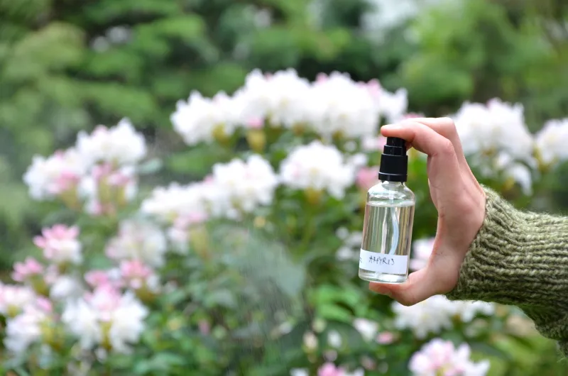 słodkie perfumy kosmetyki w lesie kleszcze