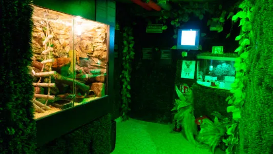 Kołobrzeg atrakcje dla dzieci Miasto Myszy Ukryta Kraina