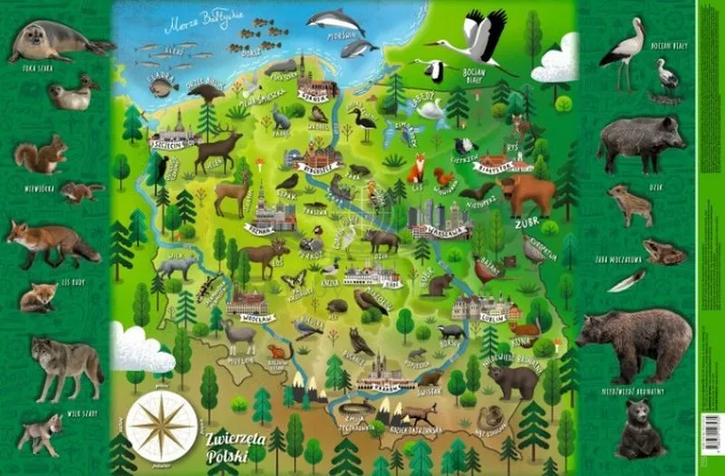 Mapa Polski zwierzęta g&oacute;rskie