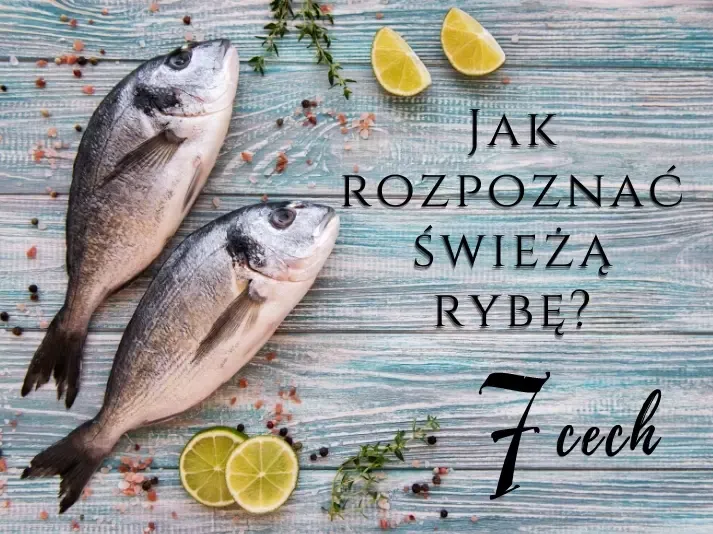 jak rozpoznać świeżą rybę