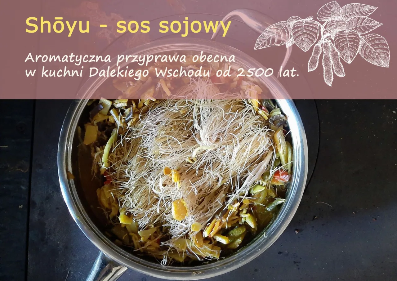 Aromatyczna przyprawa Shoyu - sos sojowy, obecna w kuchni Dalekiego Wschodu od 2500 lat, gotuje się w garnku z warzywami i makaronem.