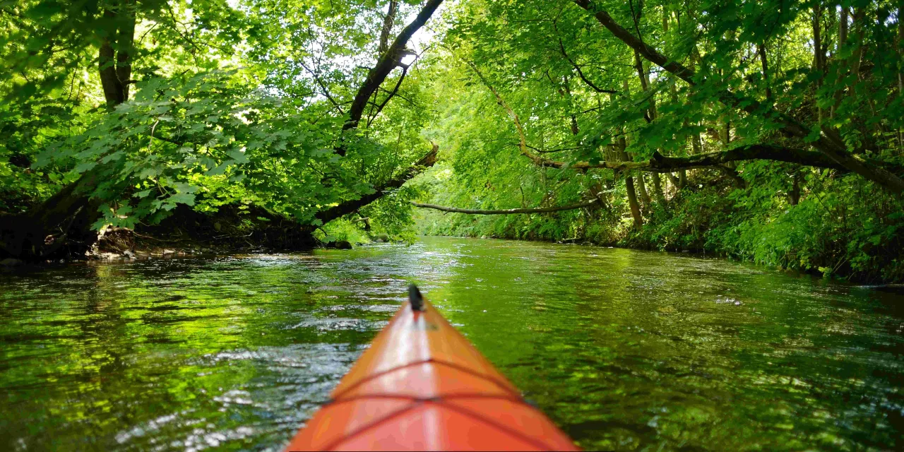 spływ kajakowy Mała Panew malownicze widoki