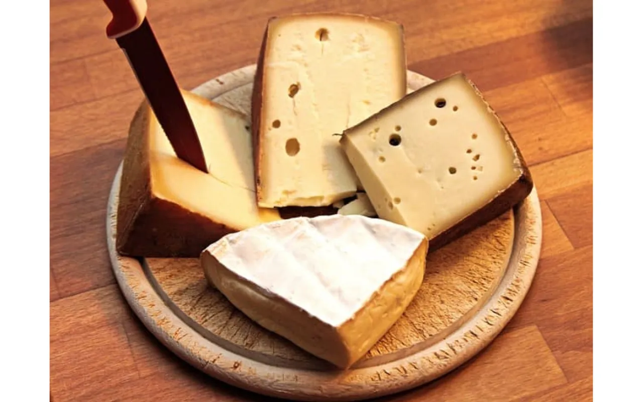 Rodzaje podpuszczki serowarskiej, mleko owcze i krowie