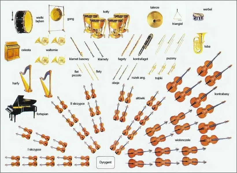 muzyka klasyczna do czytania instrumenty orkiestra