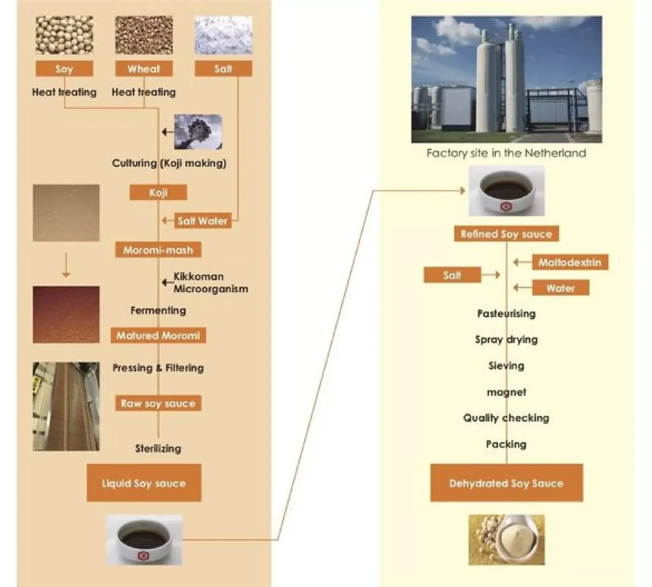 proces produkcji sosu sojowego fermentacja hydroliza