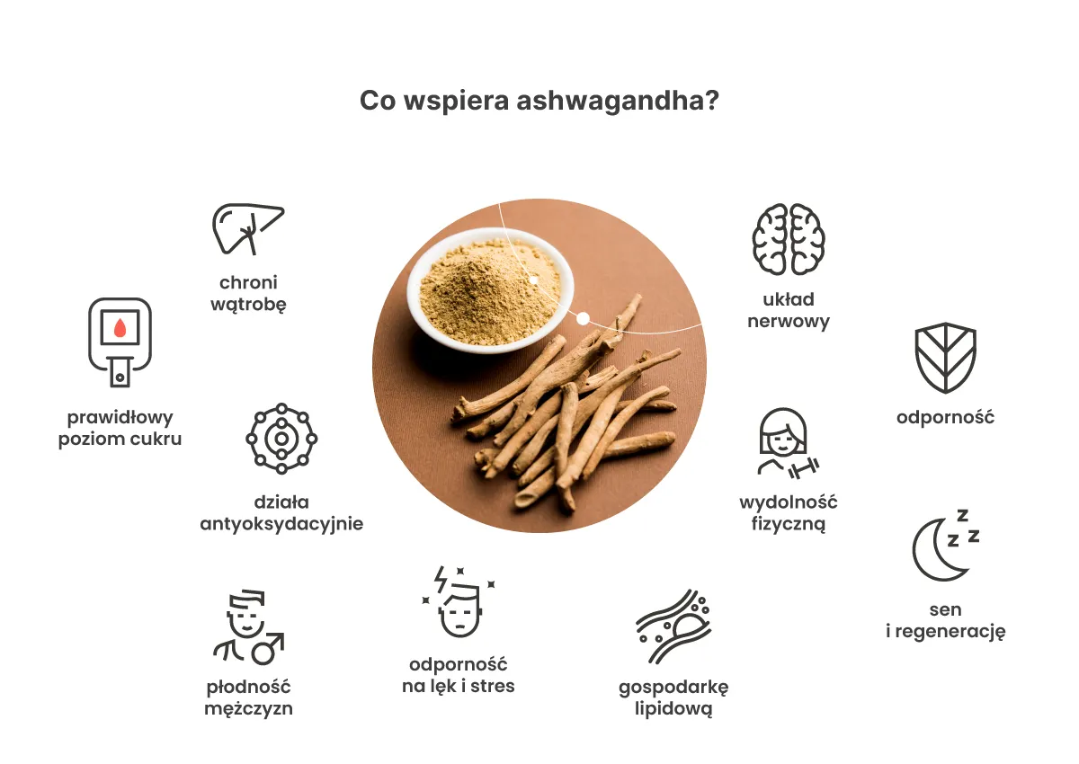przeciwwskazania ashwagandha