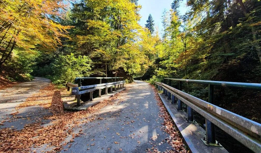 szlak turystyczny w Dolinie Białej Wisełki jesienią