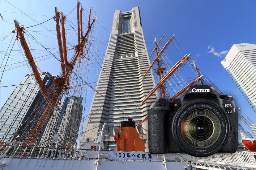 Zdjęcie wykonane Canonem EOS 77D przykład