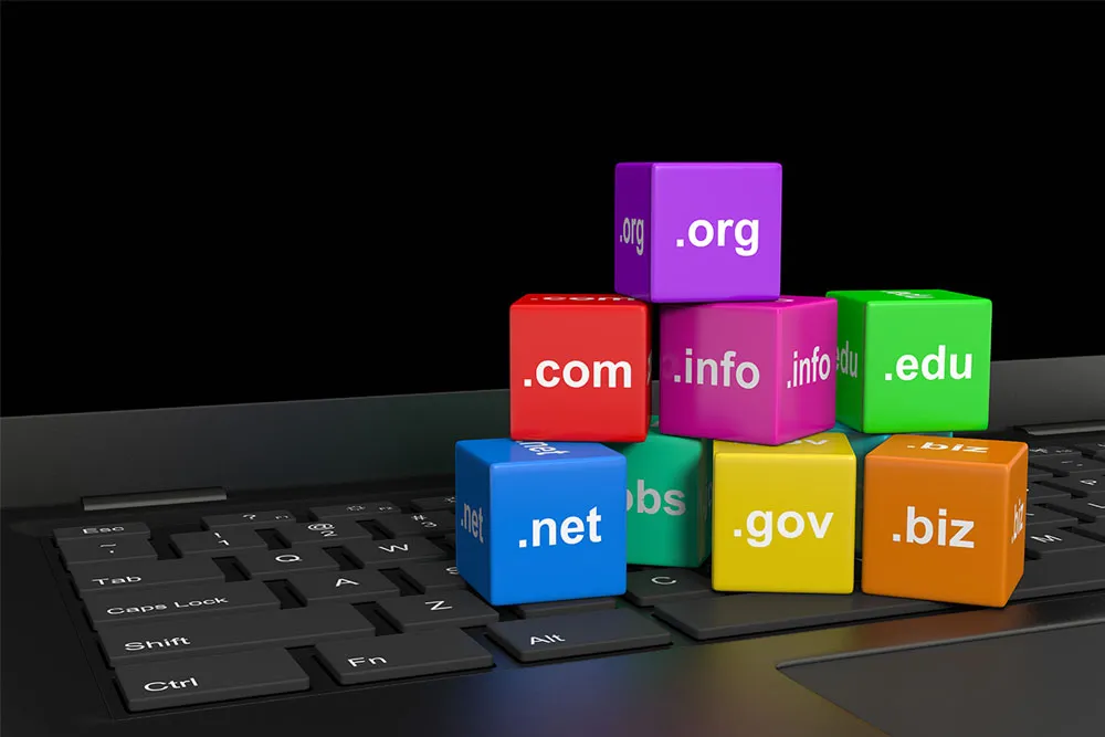 wybór domeny i hostingu