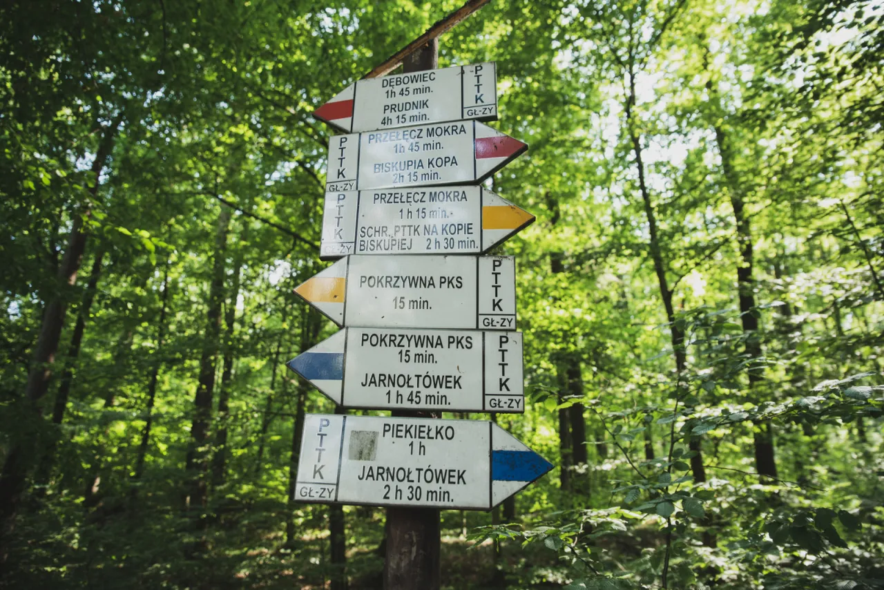 Biskupia Kopa szlaki turystyczne