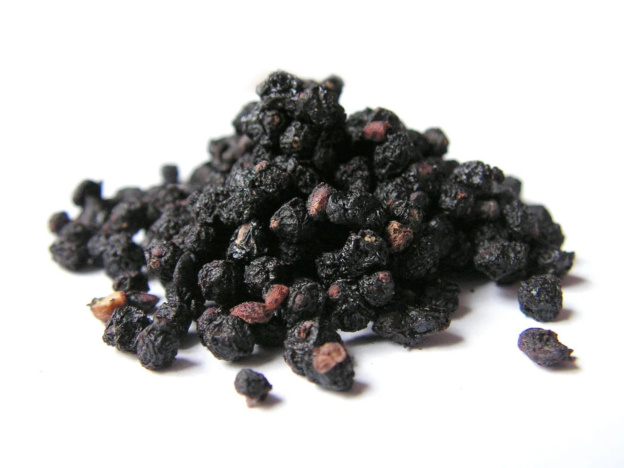 suszone owoce czarnego bzu dla ptak&oacute;w