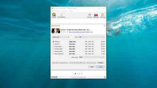 Programy do pobierania film&oacute;w ikony