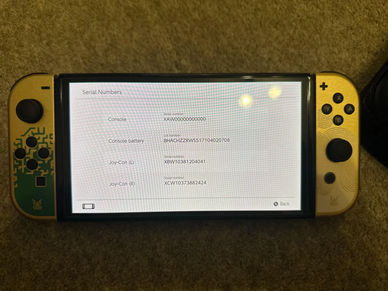 Nintendo Switch numer seryjny, Nintendo Switch Lite numer seryjny