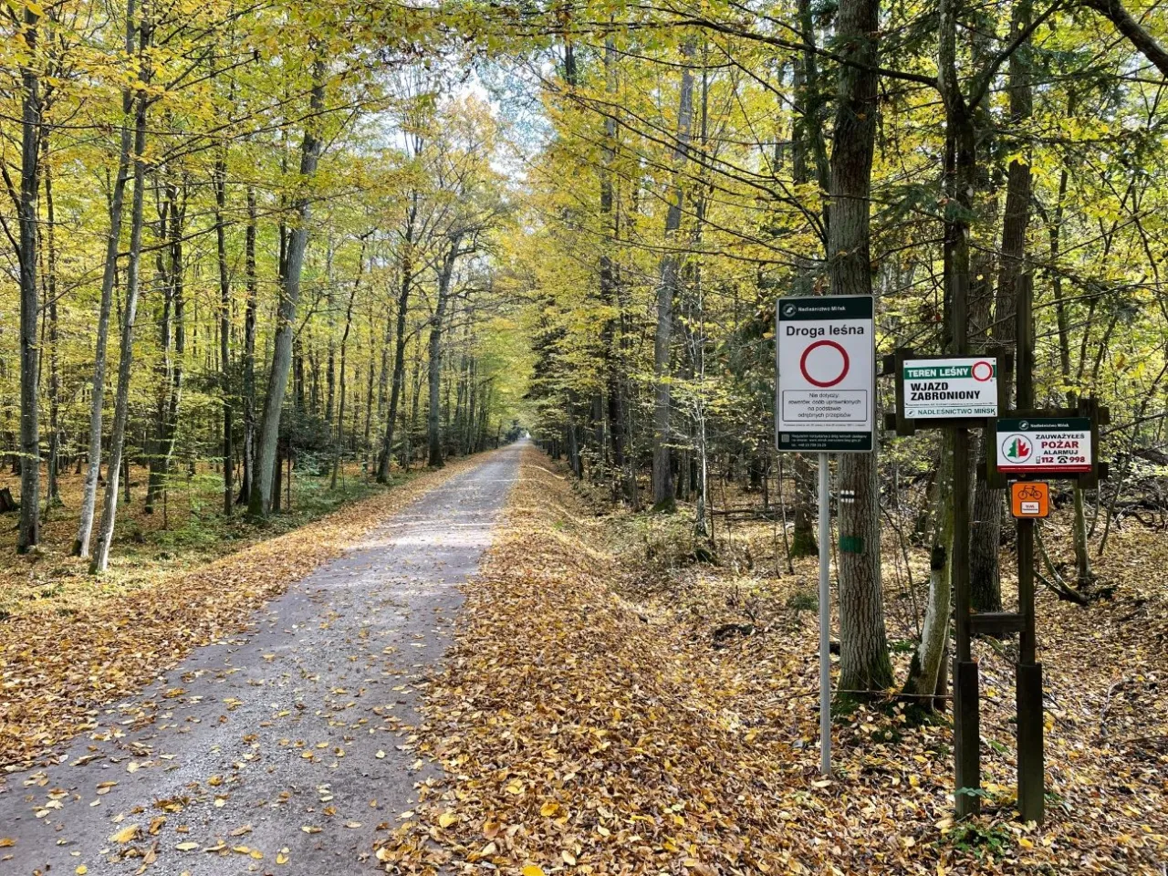 znak zakazu wjazdu do lasu motocykl