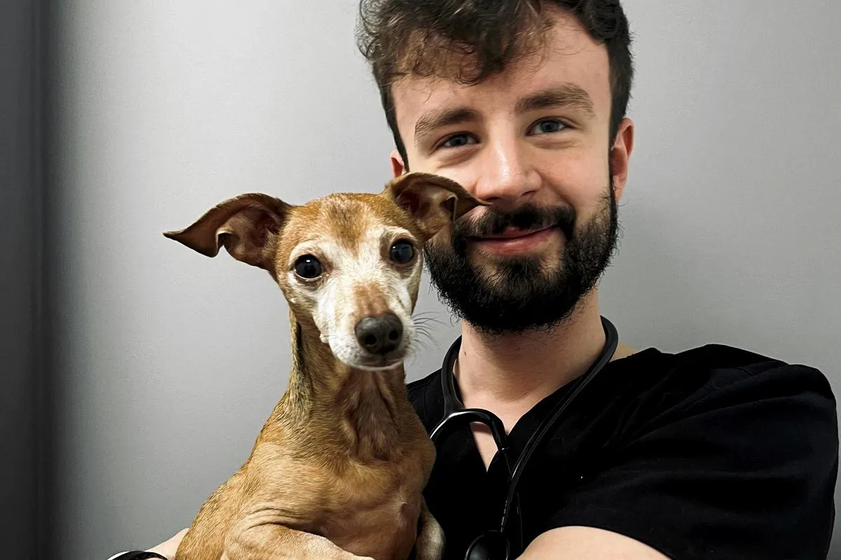 Weterynarz i zadowolony właściciel zwierzęcia dziękujący