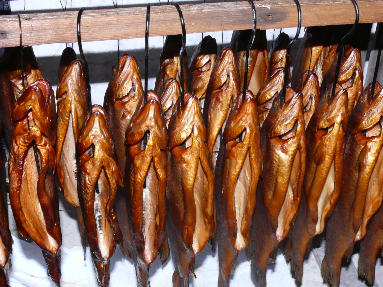 Przygotowanie pstrąga do wędzenia