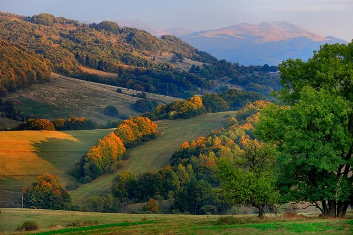 Bieszczady połoniny dzika przyroda