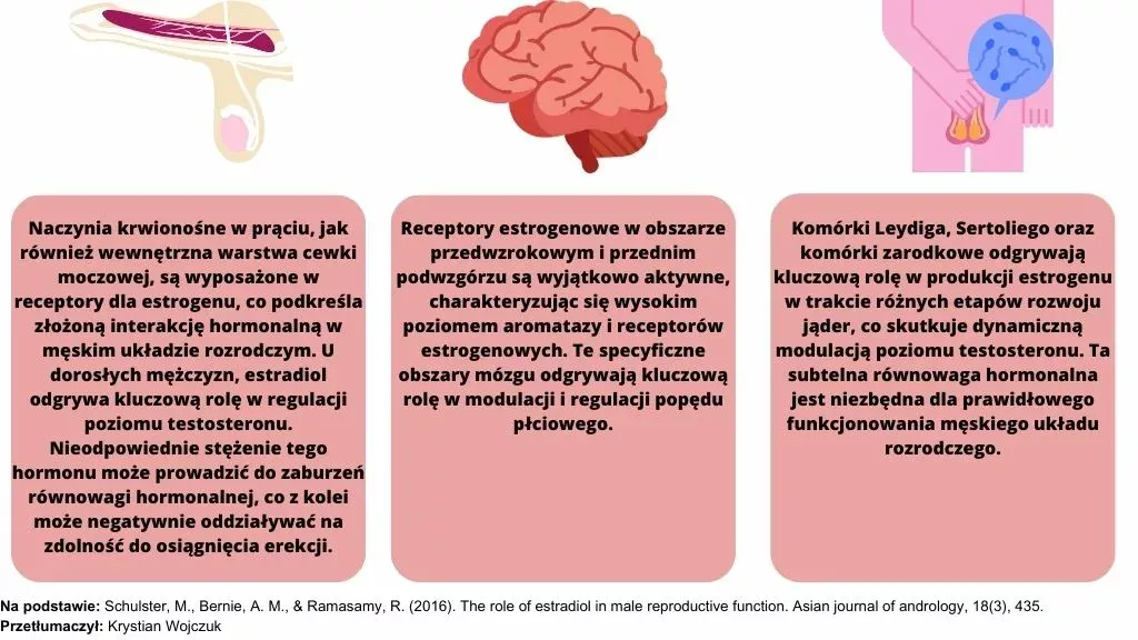 niedob&oacute;r estrogen&oacute;w wpływ na ciało