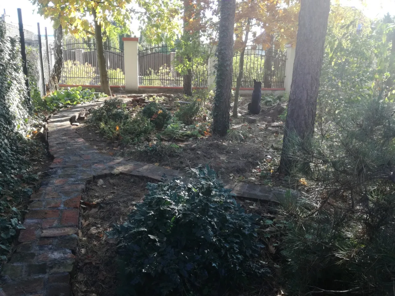 dziki zakątek w ogrodzie