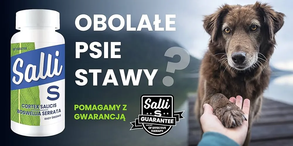 Zdjęcie Jakie tabletki przeciwbólowe dla psa są naprawdę skuteczne i bezpieczne?