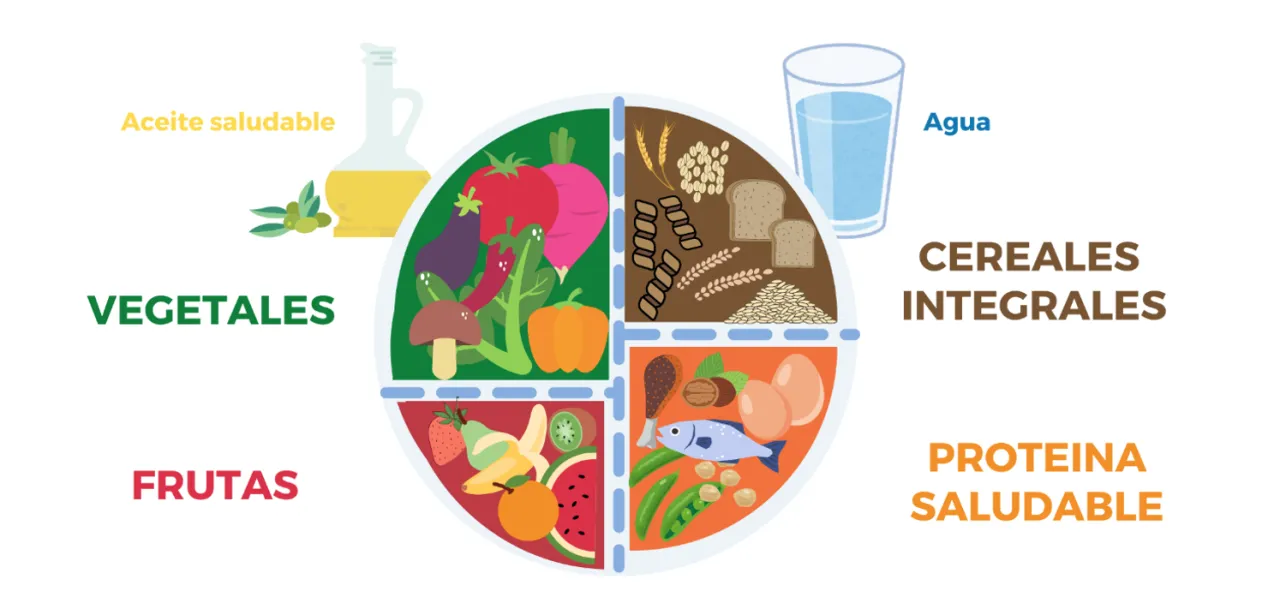 Ejemplo visual del Plato de Harvard para comer saludable