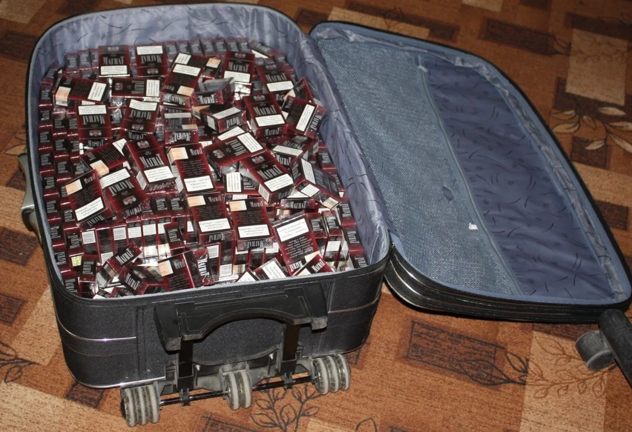 Celnik kontrolujący bagaż na granicy