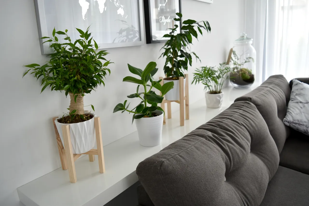 DIY dekoracje do domu, proste pomysły