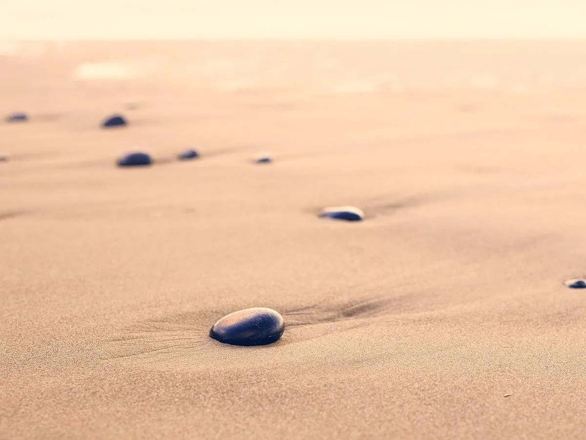 Spacer dzika plaża. Kamienie na piasku, wiatr szumi, a morze śpiewa.