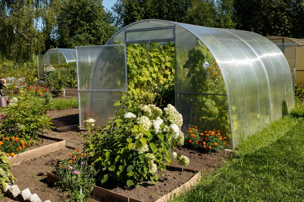 Ogr&oacute;d z szklarniami z poliwęglanu. Dowiedz się, jak złożyć szklarnie z poliwęglanu, by cieszyć się plonami przez cały rok.