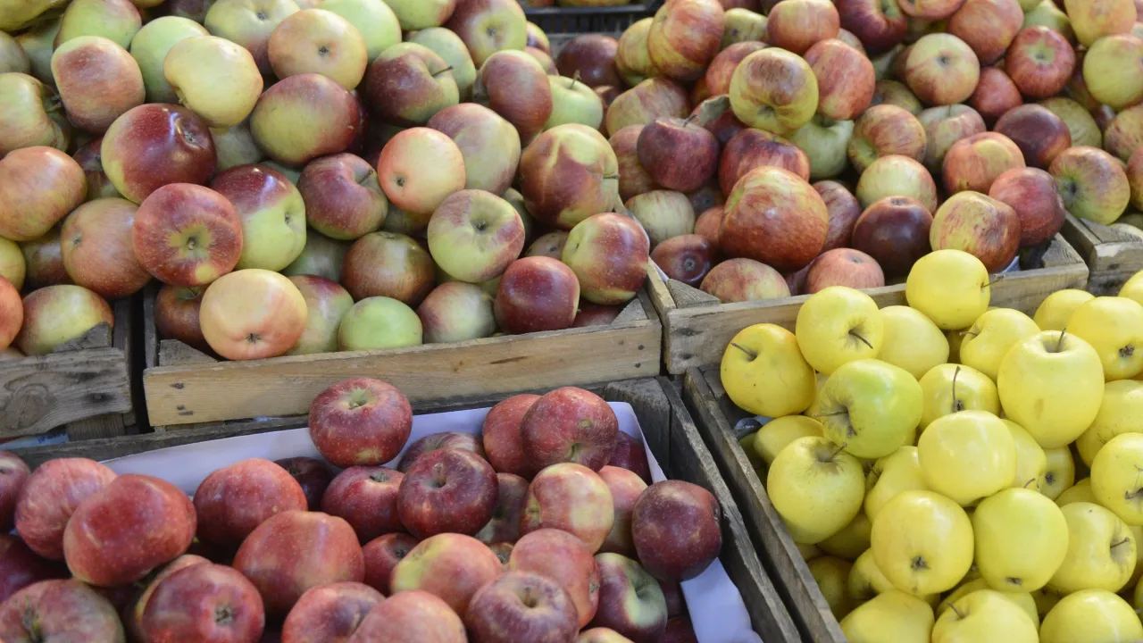 jak wybrać świeże jabłka w sklepie