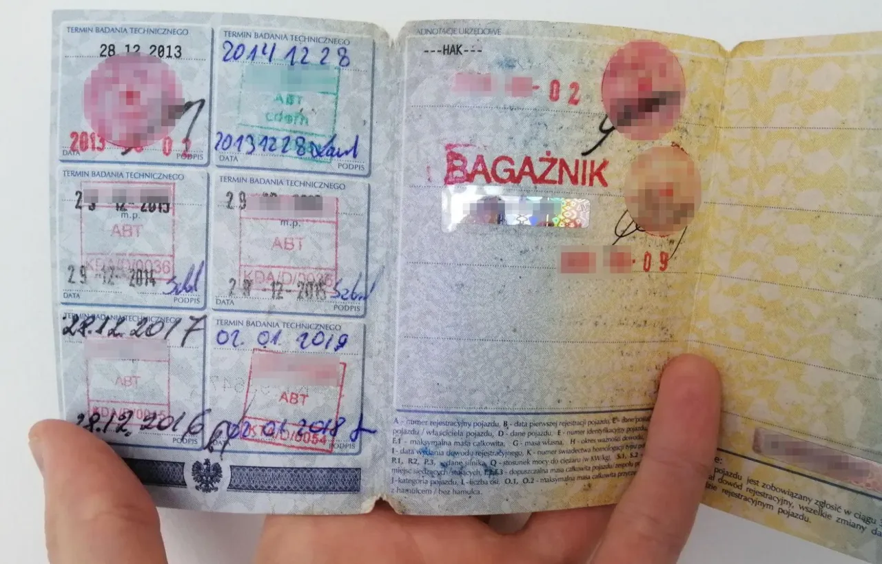 Jak sprawdzić czy samochód ma przegląd? Na dowodzie rejestracyjnym widać daty badań technicznych.