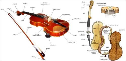 skrzypce instrument budowa