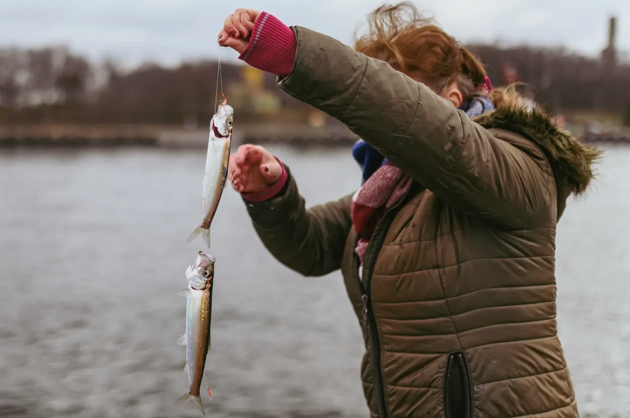 wędkarz łowiący śledzie w porcie