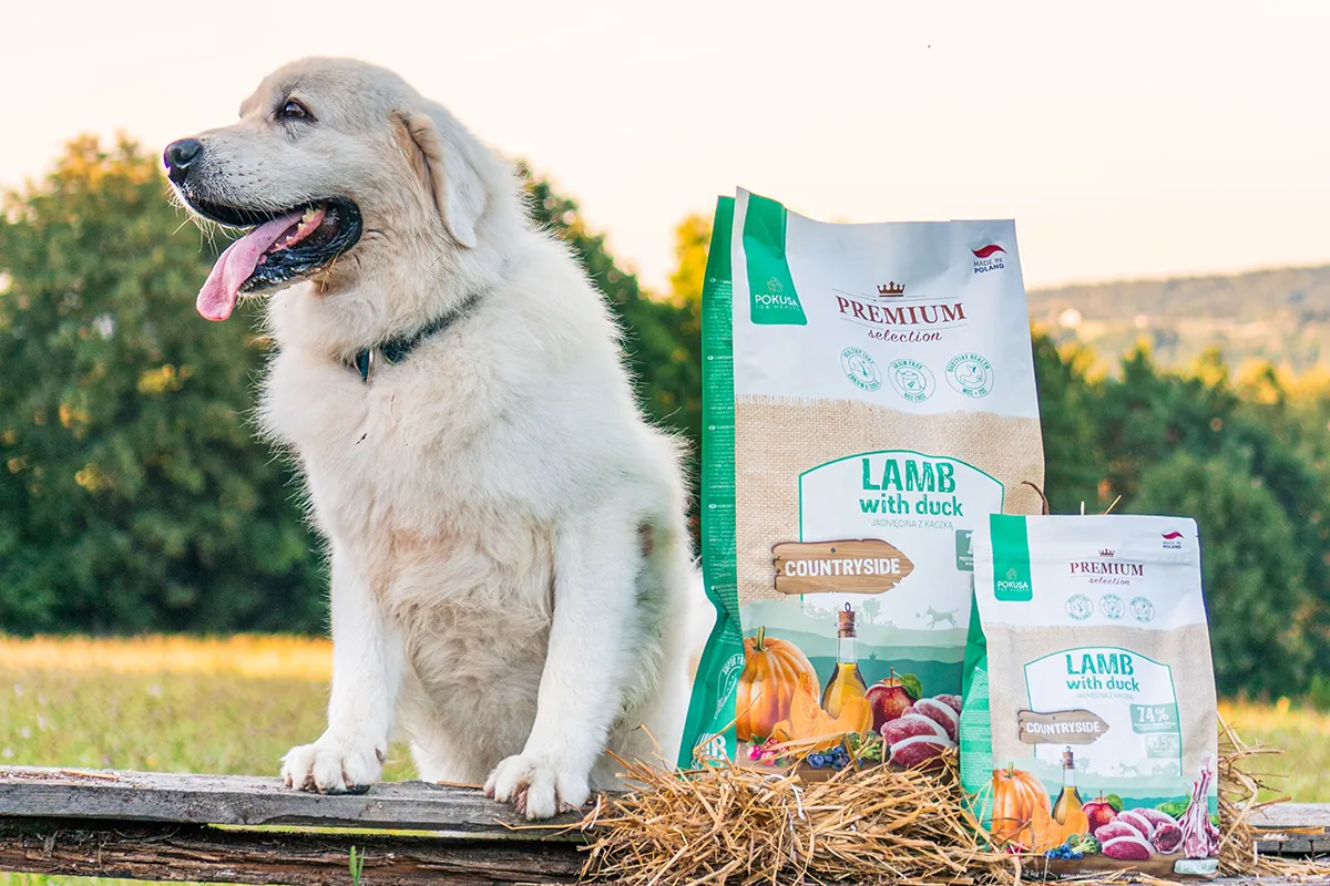 Szczeniak je karmę dla szczeniąt