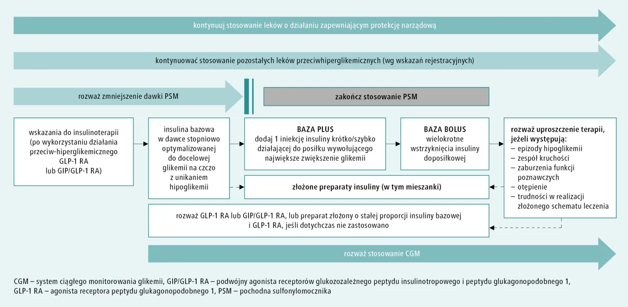 Schemat leczenia cukrzycy: kiedy stosować leki na cukrzycę przed czy po jedzeniu, insulinę bazową, bolus, złożone preparaty, GLP-1 RA, GIP/GLP-1 RA.