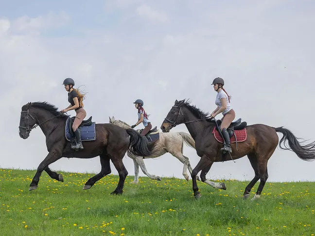 cennik jazda konna Mazury