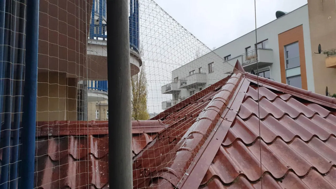 r&oacute;żne metody zabezpieczenia dachu przed ptakami