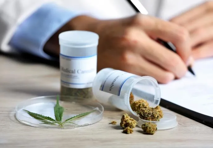 Zdjęcie Medyczna marihuana - gdzie po lek i jak uzyskać receptę w Polsce