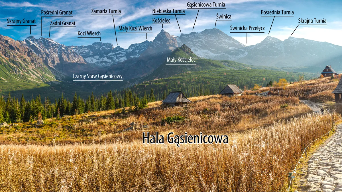 Hala Gąsienicowa widok na Tatry