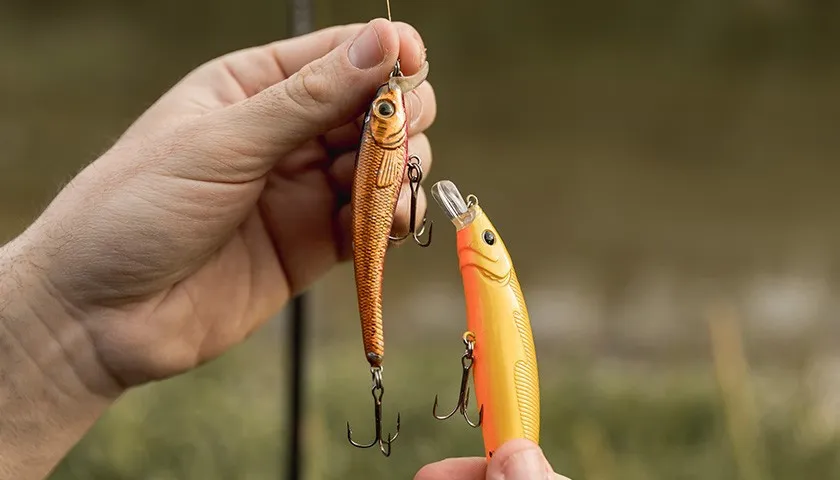 r&oacute;żne rodzaje wobler&oacute;w spinningowych