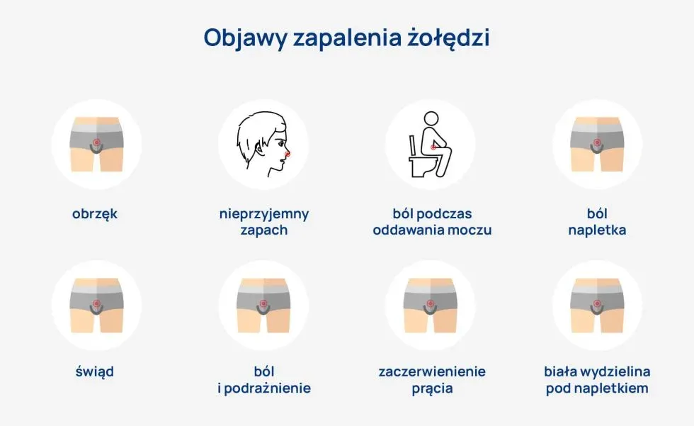 Grzybica prącia objawy i leczenie