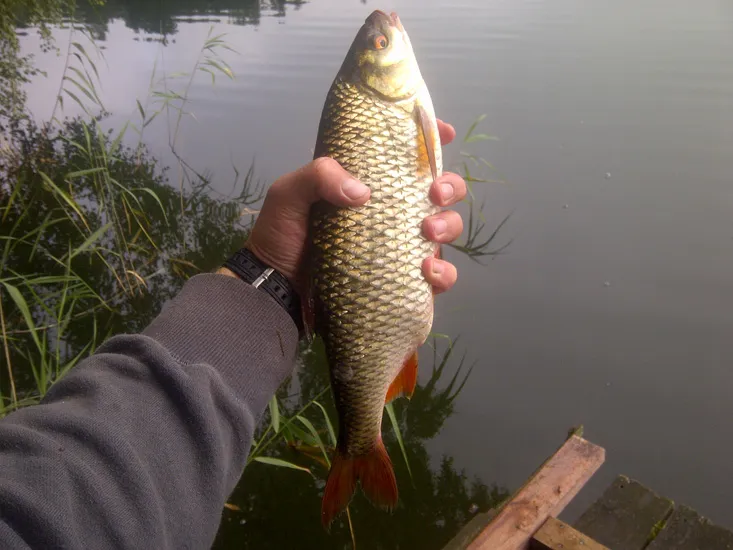 jezioro niesłysz wędkowanie